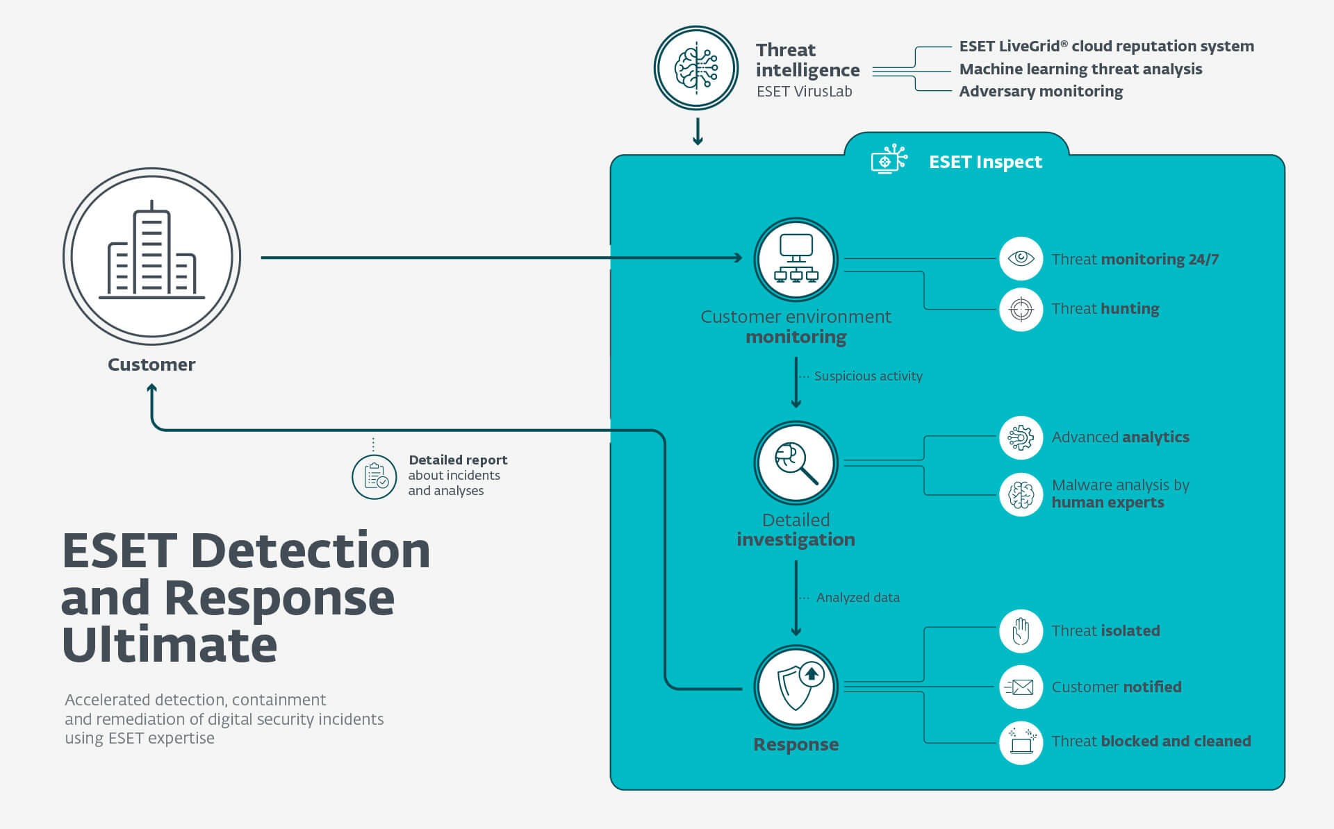 ESET DRU infographics 1 